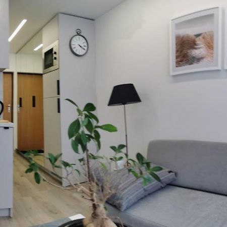 Salia Centro Apartment Vilnius Exterior photo